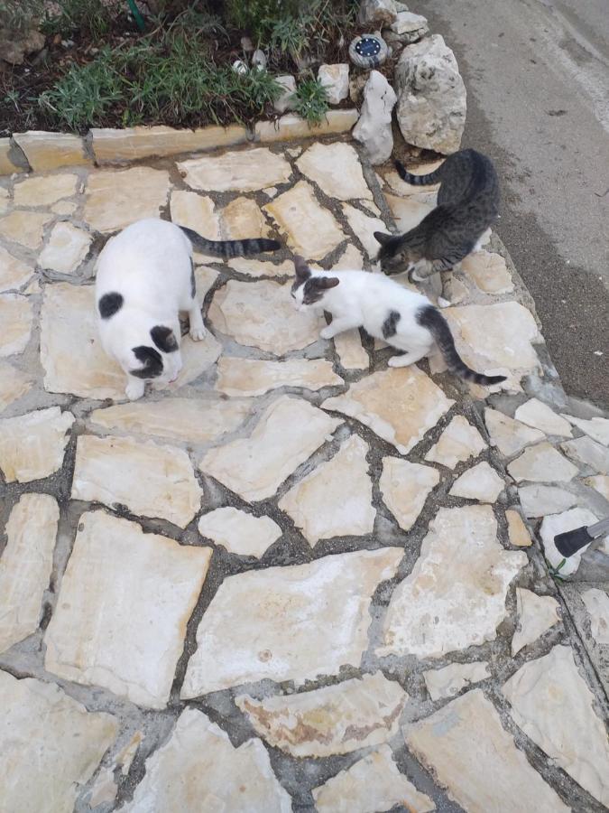 ויר Apartmani Marijanovic מראה חיצוני תמונה