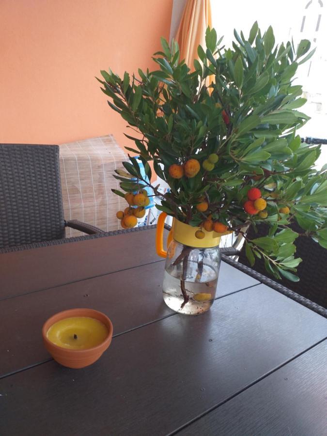 ויר Apartmani Marijanovic מראה חיצוני תמונה