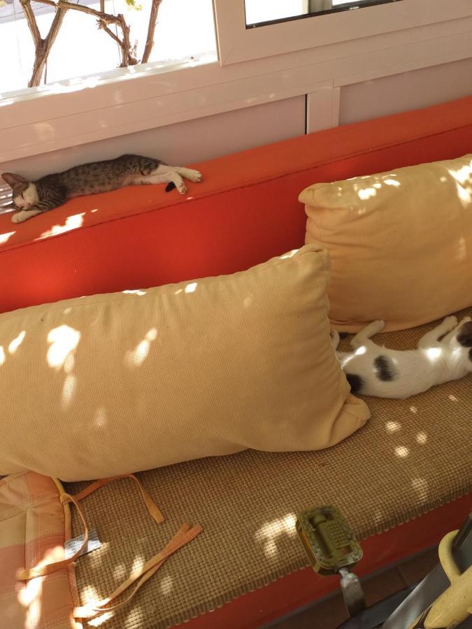 ויר Apartmani Marijanovic מראה חיצוני תמונה