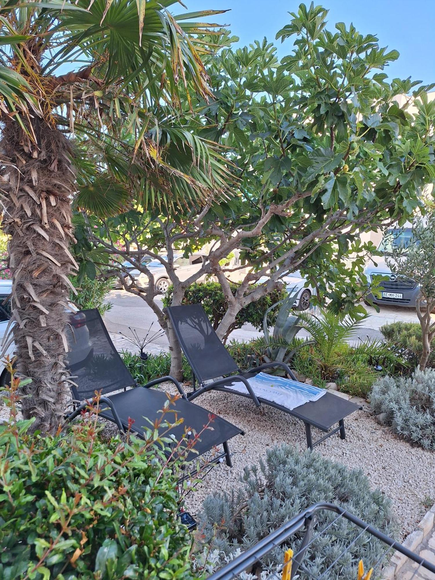 ויר Apartmani Marijanovic מראה חיצוני תמונה
